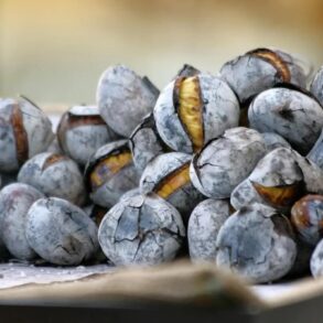 dia de sao martinho castanhas