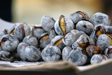 dia de sao martinho castanhas