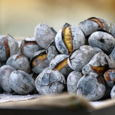 dia de sao martinho castanhas