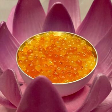 Five Star Dinner Ocean