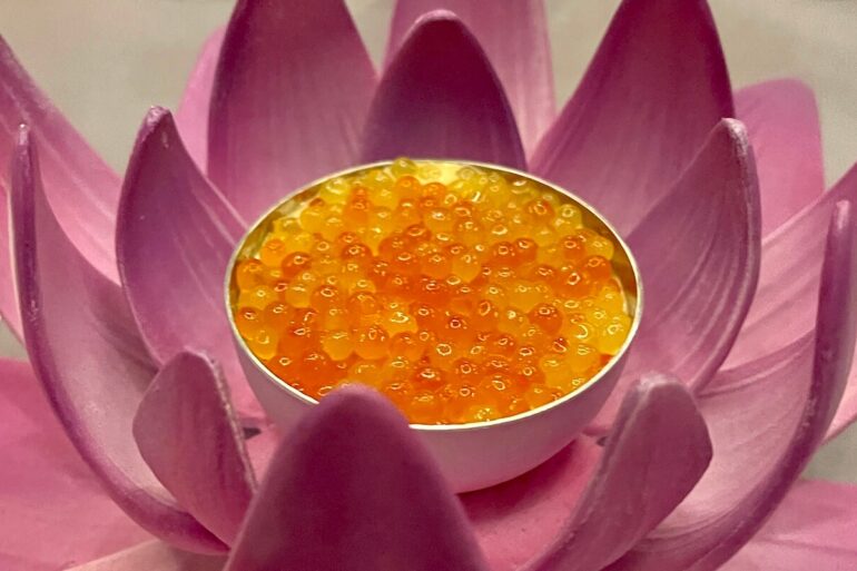 Five Star Dinner Ocean