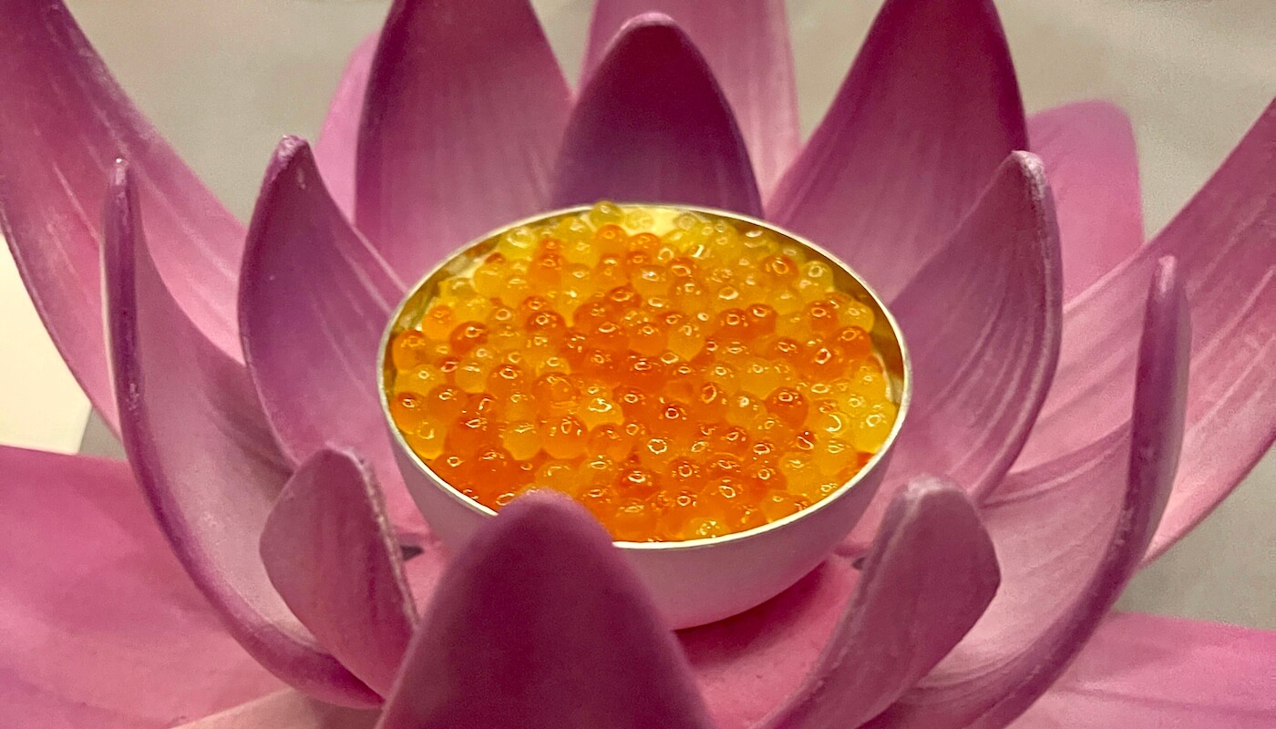 Five Star Dinner Ocean