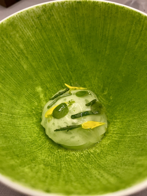 nans neuner ria formosa oyster