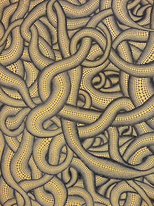 yayoi kusama serralves