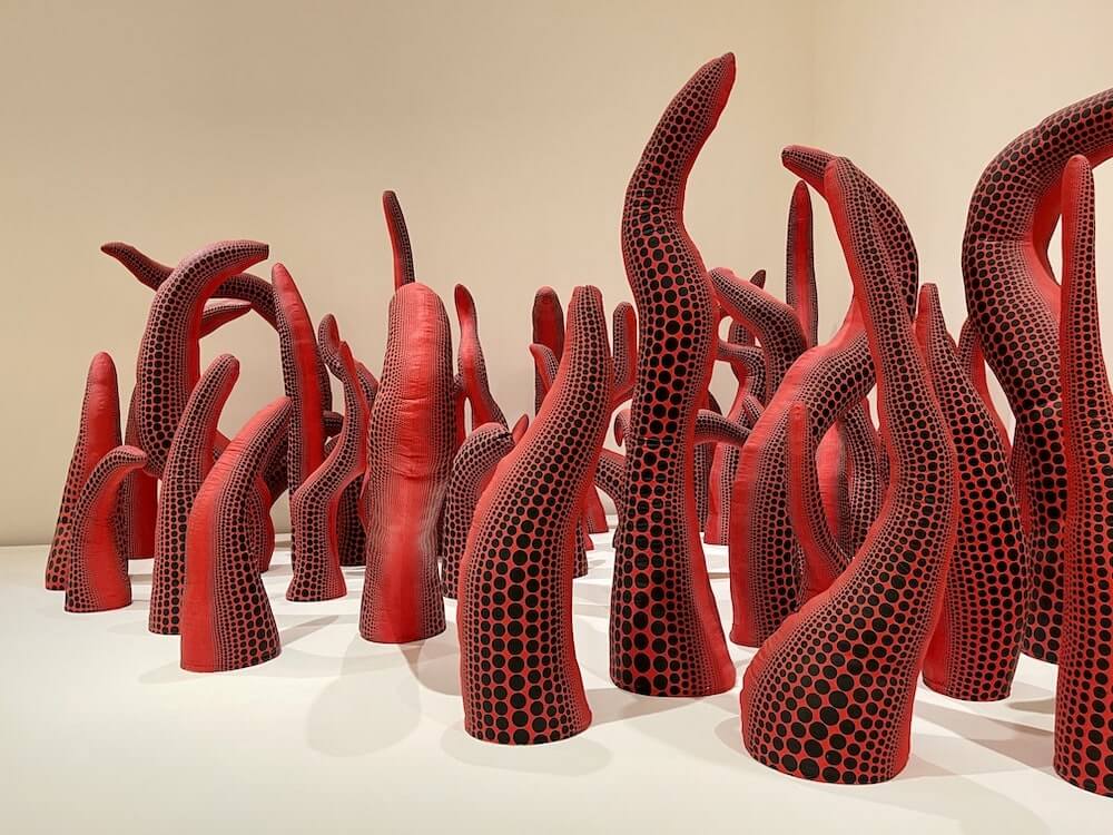 yayoi sumama serralves porto