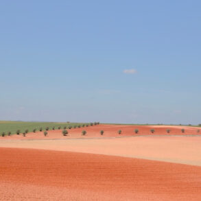 colourama in the pink