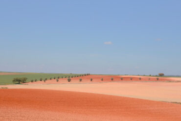 colourama in the pink