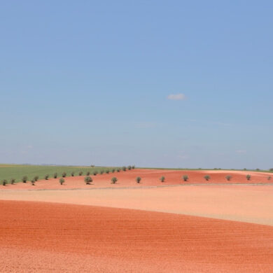 colourama in the pink