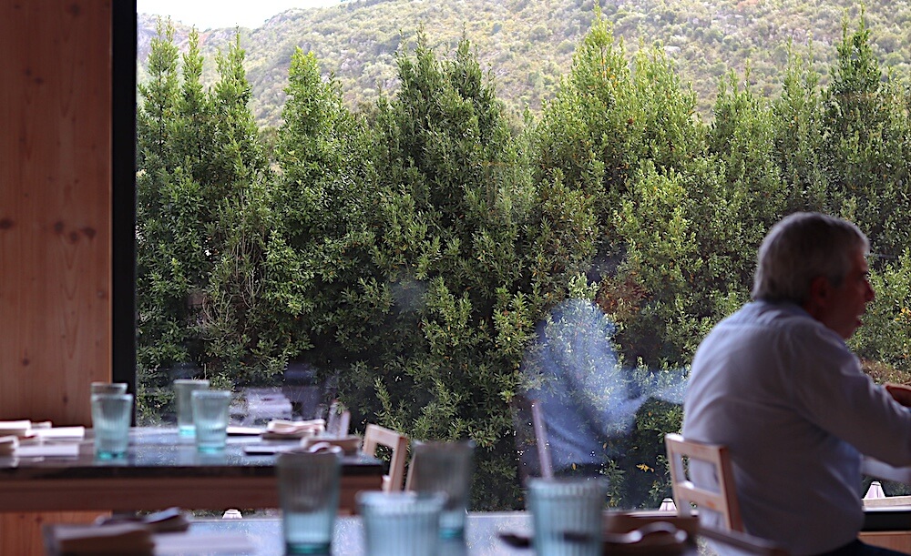 terruja nature based restaurant