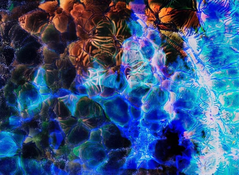 xana nunes fotografia