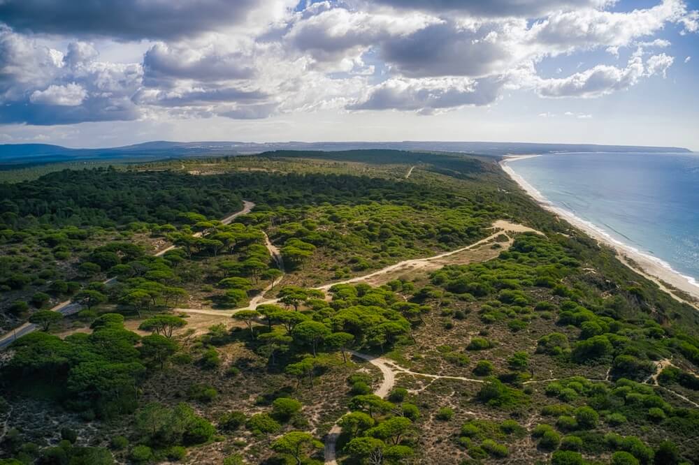 Aroeira Collections by Missoni plots