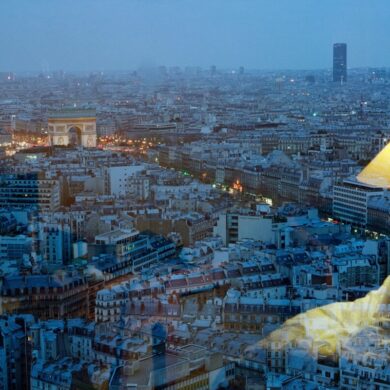 nuno cera in the pink