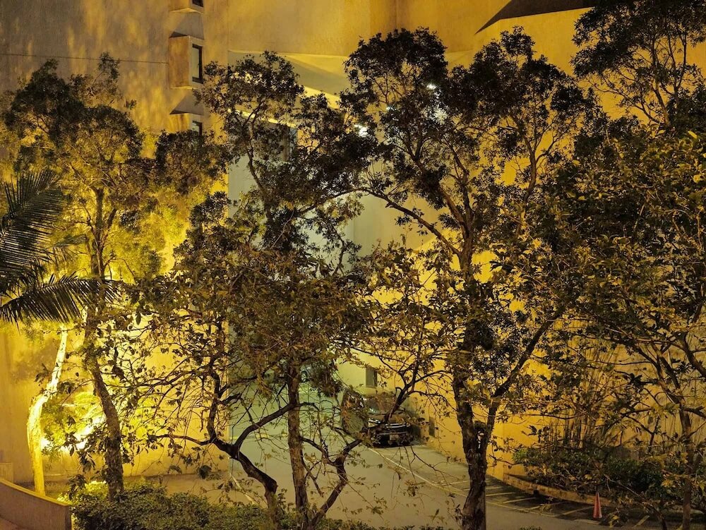 nuno cera photography