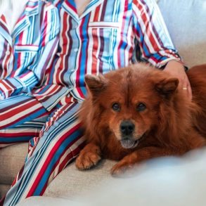 pet friendly hotels portugal