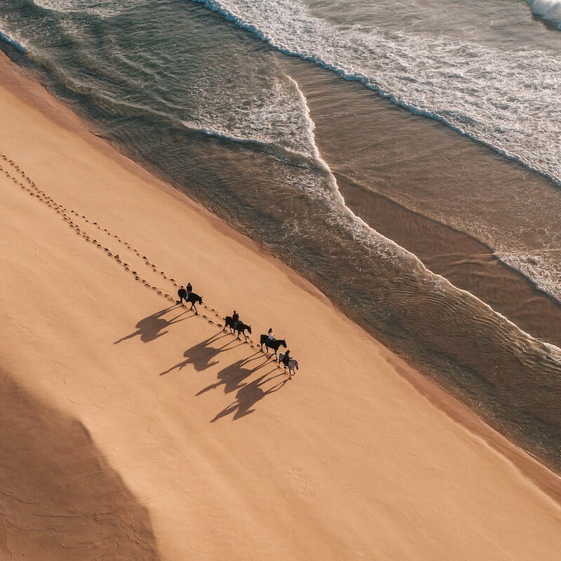 horse riding comporta
